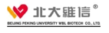 北大维信